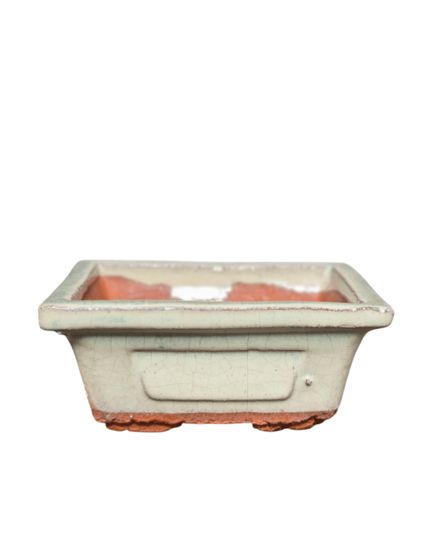 Bonsai vazonas (vintažinis)